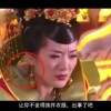 word软件免费下载安装电脑版苹果